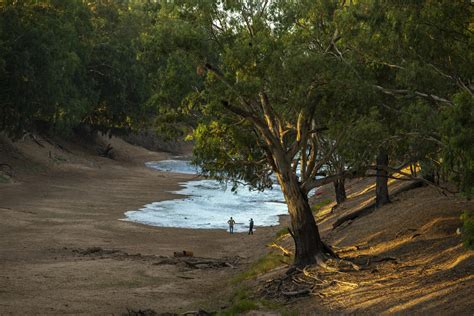 OPINION: Getting the Murray–Darling Basin Plan back on track